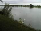 De Saone stroomt hevig, courant fort , strong current